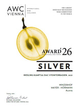 Riesling KAMPTAL DAC   Steinterrassen 2025